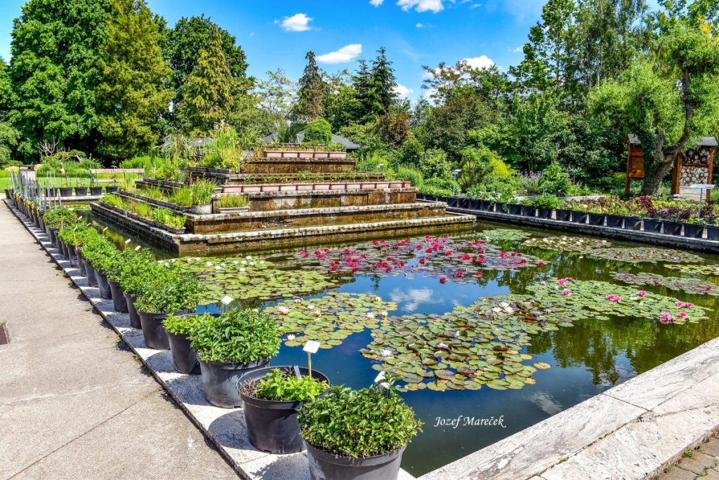 Exkurzia do Botanickej záhrady UPJŠ v Košiciach